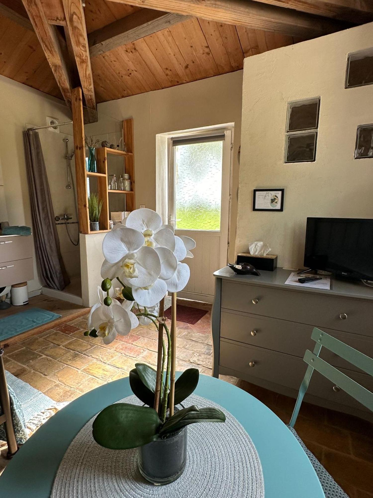 Maisonnette Independante Au Calme Dans Un Grand Jardin Chateauneuf-du-Rhone Exterior foto