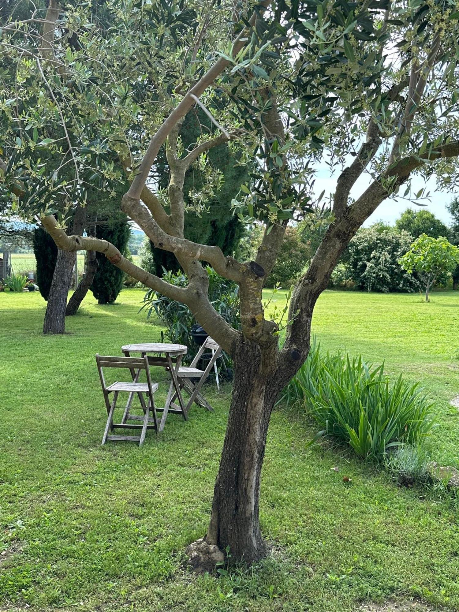 Maisonnette Independante Au Calme Dans Un Grand Jardin Chateauneuf-du-Rhone Exterior foto