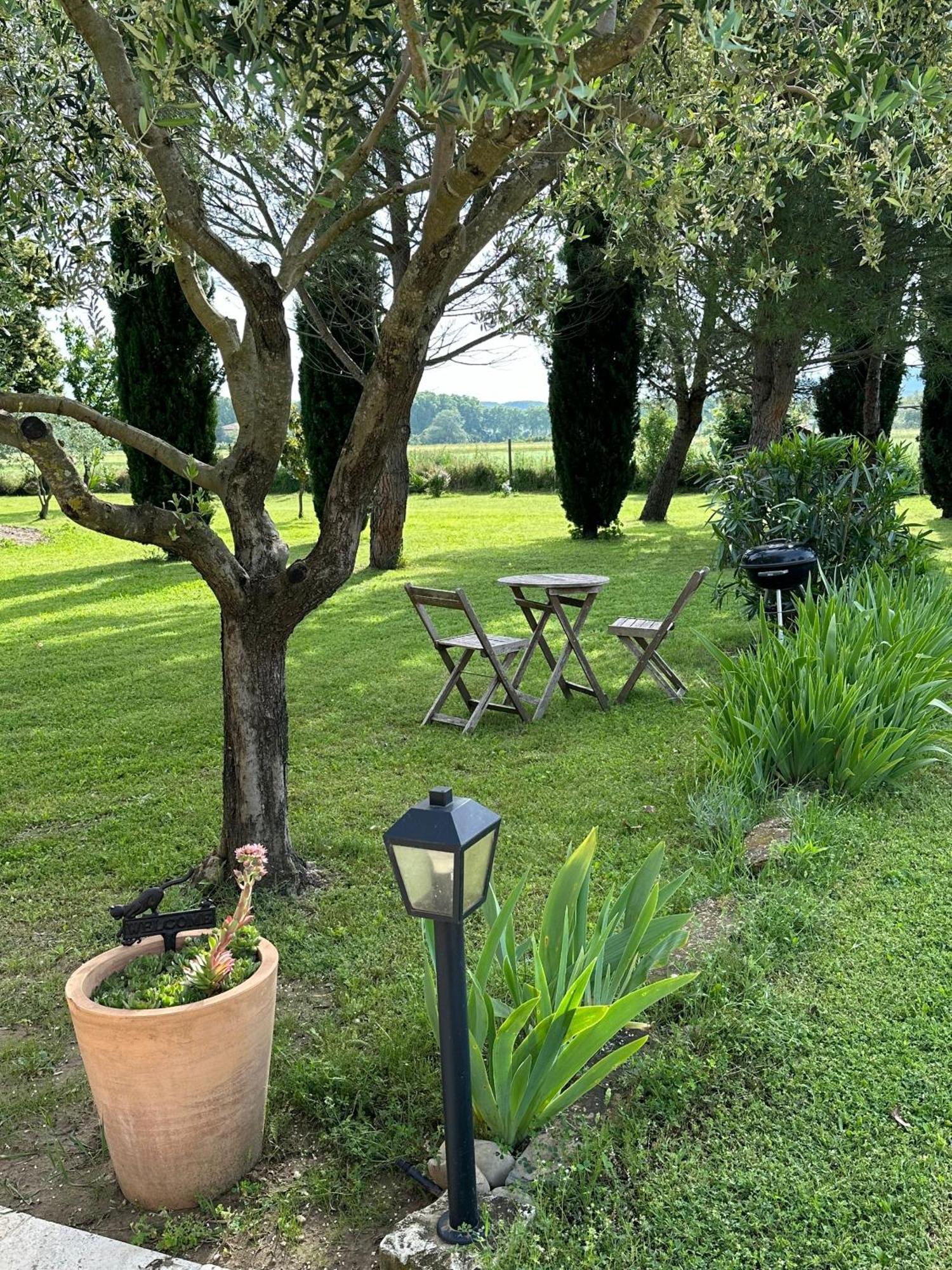 Maisonnette Independante Au Calme Dans Un Grand Jardin Chateauneuf-du-Rhone Exterior foto