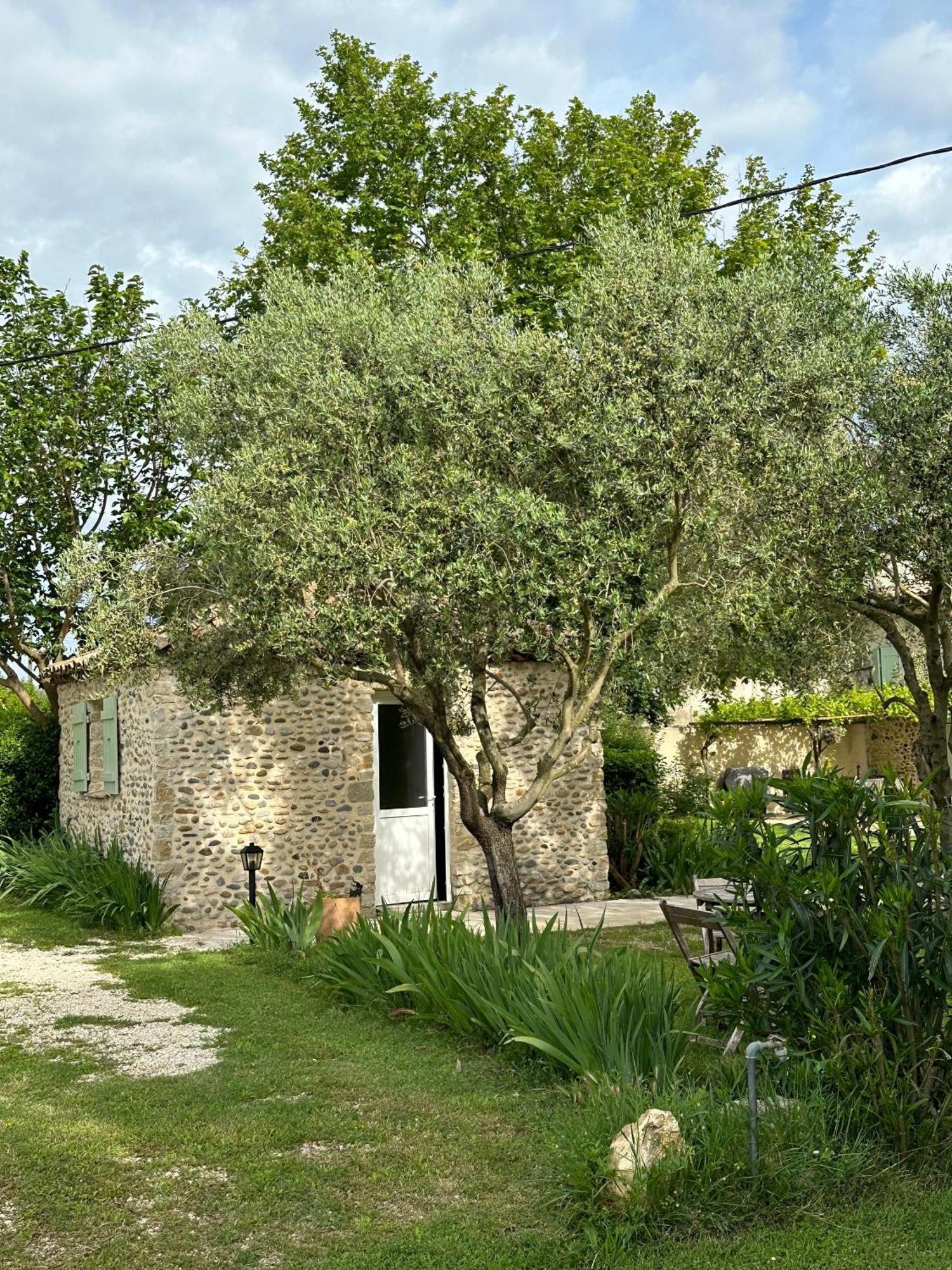 Maisonnette Independante Au Calme Dans Un Grand Jardin Chateauneuf-du-Rhone Exterior foto